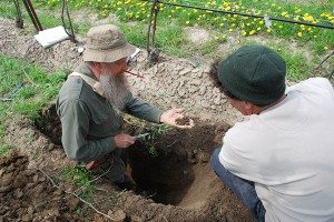 examining the soil in the vineyard