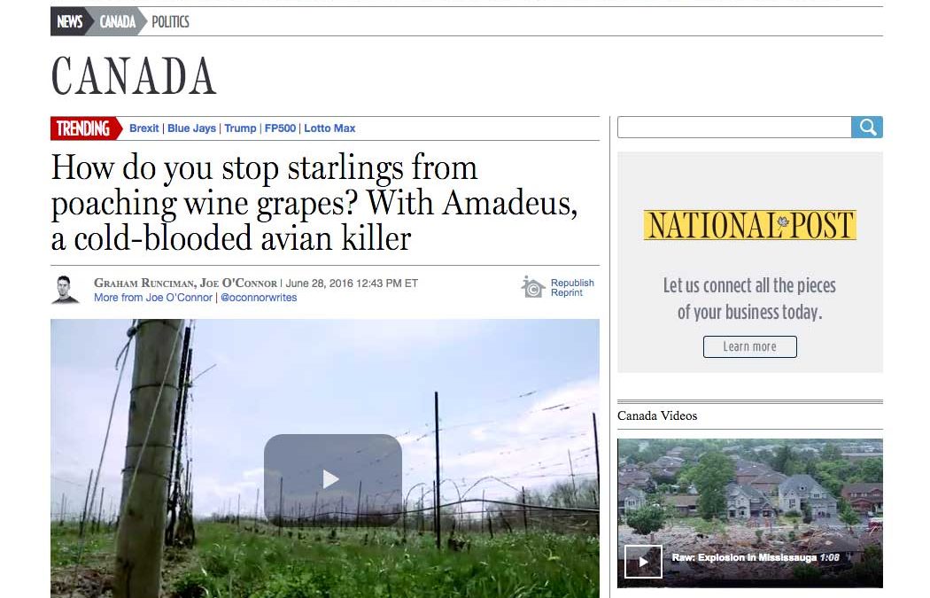 Louise Engel shows her quick wit to National Post